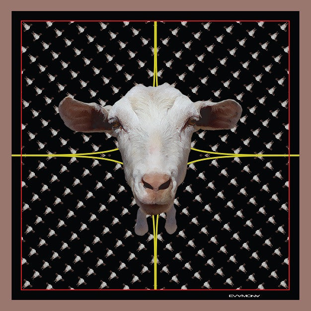 Nonchalant goat
